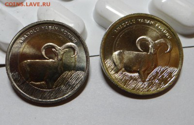 Турция 1 лира монометалл? - DSC05543.JPG