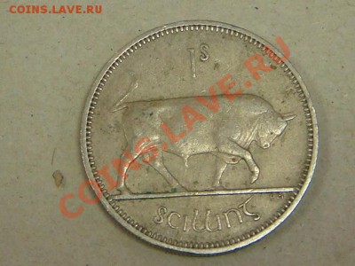 -v-Ирландия 1 шиллинг 1959г. до 14.02(21.00) - DSC00556.JPG
