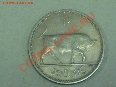 -v-Ирландия 1 шиллинг 1963г. до 14.02(21.00) - DSC00558.JPG