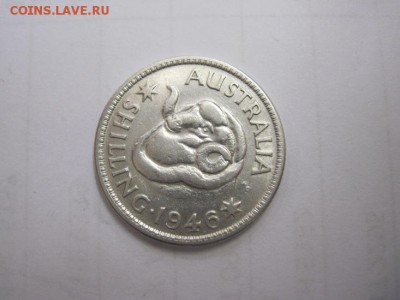1 шиллинг Австралия 1946 до 16.04.17 - IMG_9766.JPG