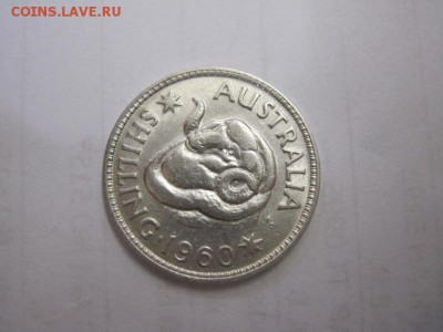1 шиллинг Австралия 1960 до 16.04.17 - IMG_9774.JPG