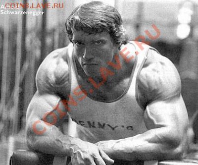 Закончил Университет - arnold-schwarzenegger-2