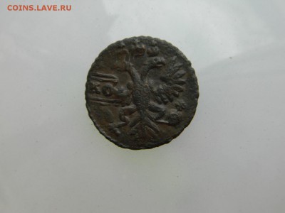 Полушка 1731г перечекан - DSCN5900.JPG