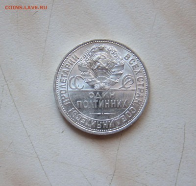 ПОЛТИННИК 1925г. КРАСИВЫЙ. до 16.04. 22-00 мск - 25_3