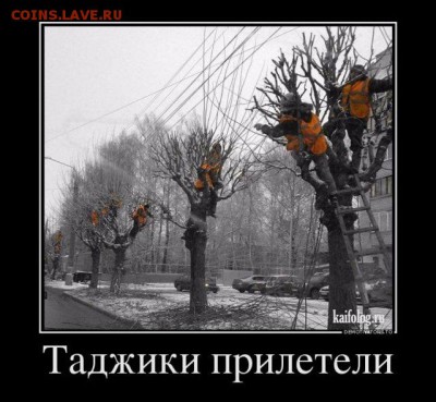 юмор - 1492236094_003