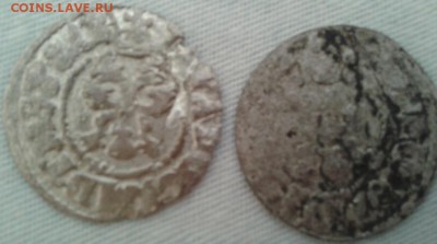 2 севских чеха на оценку - Фото-1829