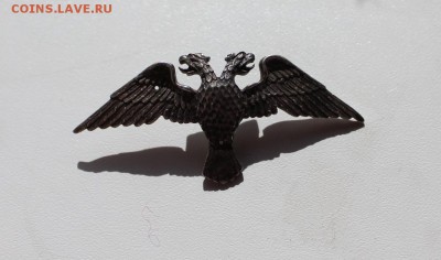 Орел на опознание - 1 061
