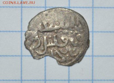 Василий Дмитриевич(петух вправо) до22.04 в22.00 - DSC_3496.JPG