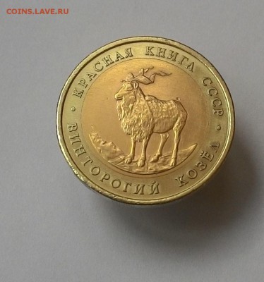 5 рублей 1991 год (Красная книга Винторогий Козел) оценка - 5_rub_4