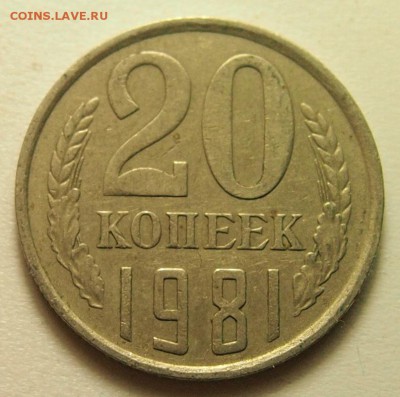 20 копеек 1981, 1982, хребет до 20.04.2016 в 22:30 - P1010114.JPG