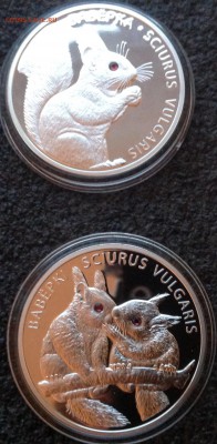 Белка и белки 20 рублей 2009 до 23.4.17 в 22.00 - IMG_8289.JPG