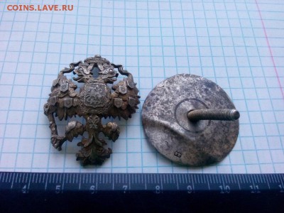 Орел на опознание - IMG_20170226_120633
