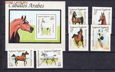 Сахара 1997 кони - 373