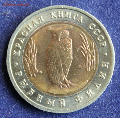 КРАСНАЯ КНИГА 5 руб.1991г. РЫБНЫЙ ФИЛИН до 24.04. - IMG_5960.JPG