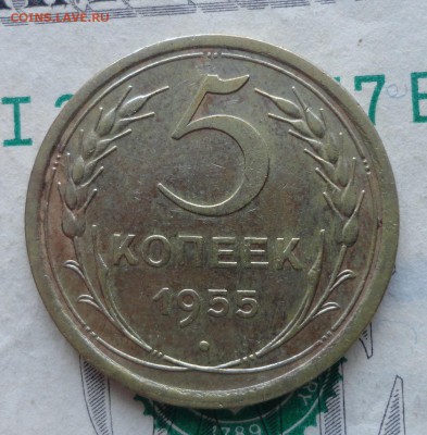 5 коп до реформы - 021.JPG
