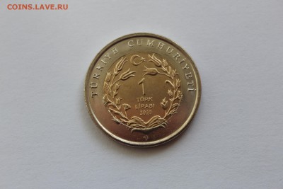Турция 1 лира 2010 Кошка UNC короткий до 20.04.17 в 22:00 - IMG_2483.JPG