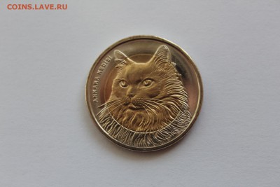 Турция 1 лира 2010 Кошка UNC короткий до 20.04.17 в 22:00 - IMG_2475.JPG
