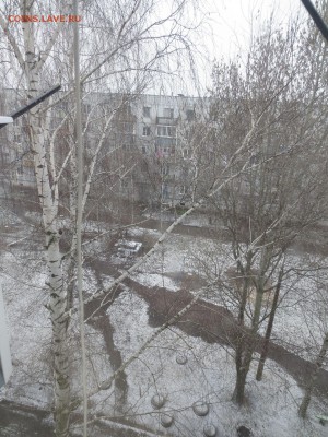 делает - прямо сейчас !!! - IMG_9086.JPG