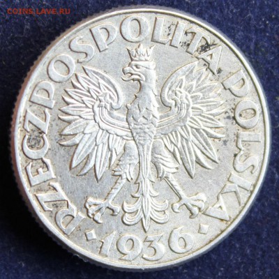 С 1 руб. ПОЛЬША 2 злотых 1936г. ПАРУСНИК  до 25.04. в 22-00 - IMG_5955.JPG