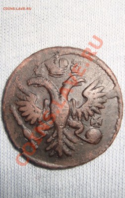 денга 1734 нечастая и бодрая. до 22:00 15.02.11 - DSC06623.JPG