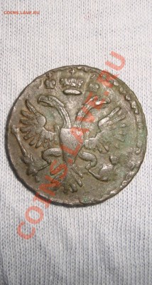 денга 1731 год. без изъянов. до 22:00 15.02.11 - DSC06634.JPG