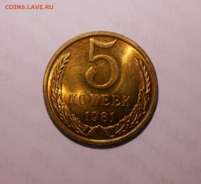5 копеек 1981 ОГОНЬ  до 24.04.2017  в 22-00мск - 5_kopeek_1981_unc_blesk_ne_byla_v_obikhode