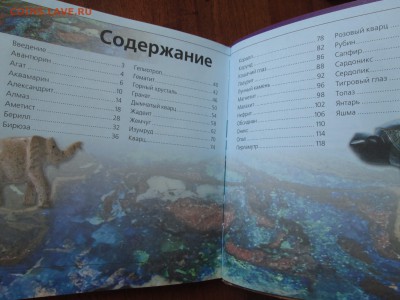 "Драгоценные камни" Морозова Т.М. до 25.04.2017 22:00 мск - IMG_4919.JPG