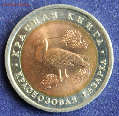 КРАСНАЯ КНИГА 10 руб.1992г. КРАСНОЗОБАЯ КАЗАРКА до 26.04. - IMG_5966.JPG