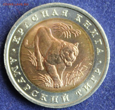 КРАСНАЯ КНИГА 10 руб.1992г. АМУРСКИЙ ТИГР до 26.04. - IMG_5958.JPG
