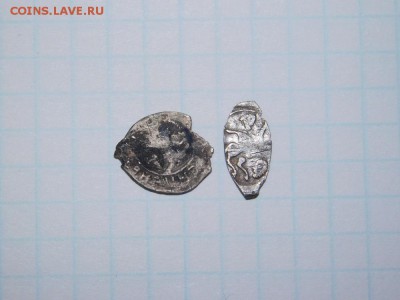 2 чешуйки. - DSCN2048.JPG