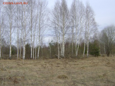 Два крайних выезда. - 007.JPG