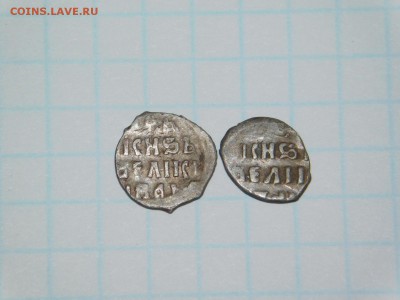 2 чешуйки. - DSCN2065.JPG