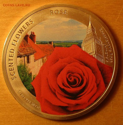 Серебрянный доллар.2013г.(Роза). - IMG_2534.JPG