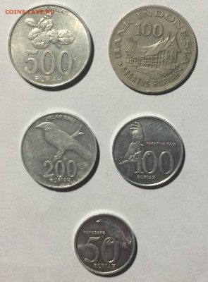 Монеты Индонезии красивые недорого до 26.04.17 в 22.00 по мс - IMG_2089.JPG