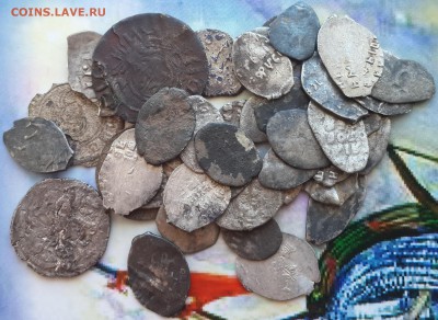 42 чешуйки  на чистку и опыты - 2