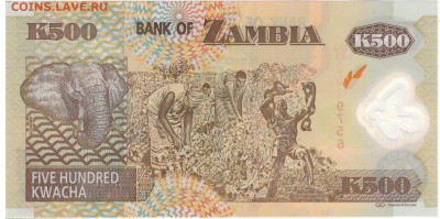 Замбия 500 квача 2008 полимерная 25.04.17 В 22.00МСК (Г910) - 1-1зам500