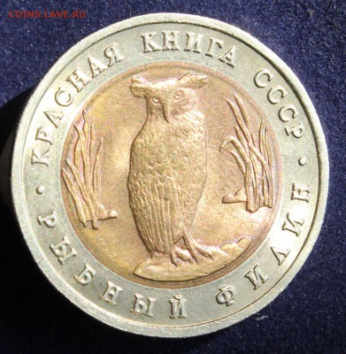 КРАСНАЯ КНИГА 5 руб.1991г. РЫБНЫЙ ФИЛИН до 24.04. - IMG_6066.JPG