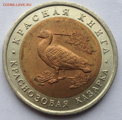 10р. 1992г. Краснозобая казарка до 26.04.2017 в 22.15 - image