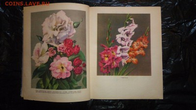 Книги СССР - Hb6EimPW_Xc