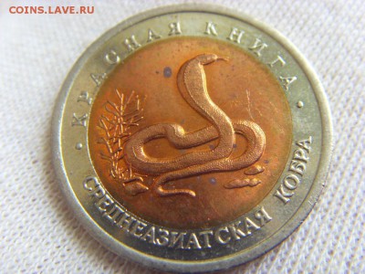КК 10 руб. 1992 Среднеазиатская кобра до 29.04.17 - SDC14798.JPG