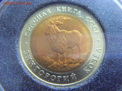 КК 5 руб. 1991 Винторогий козел (капсула) до 29.04.2017 - SDC14807.JPG