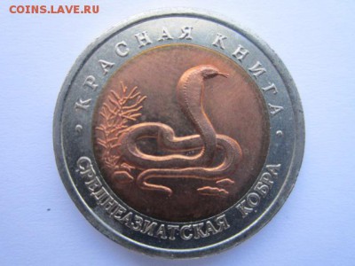 с 200 кк 1991 Кобра до 28.04.2017 в 22:30 - IMG_3035.JPG