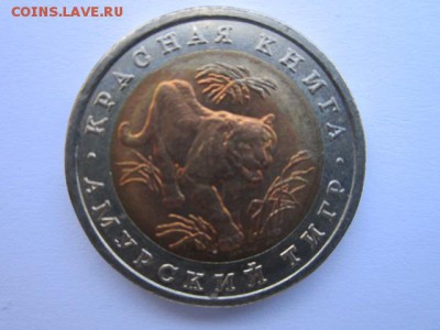 с 200 кк 1992 Тигр до 28.04.2017 в 22:30 - IMG_3033.JPG