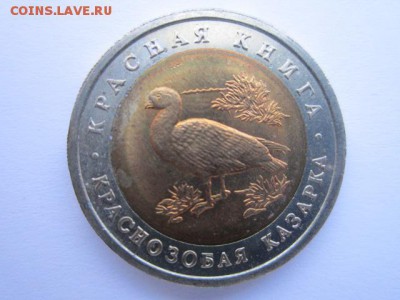 с 200 кк 1992 Казарка до 28.04.2017 в 22:30 - IMG_3037.JPG