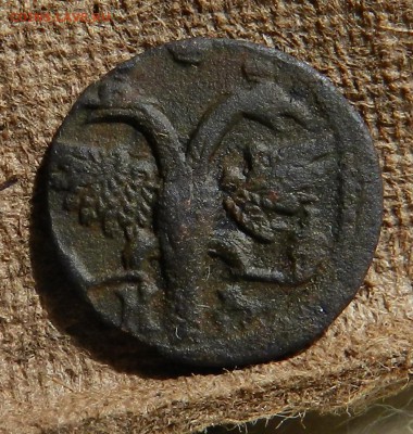 ВРП полушка (1719  - буквами) НД - пернатый орел до 26.04.17 - DSCN6168