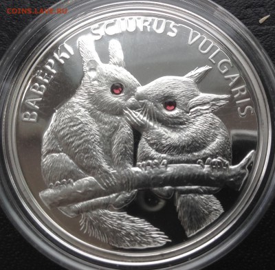 Белки 20 рублей 2009 до 30.4.17 в 22.00 - IMG_8374.JPG