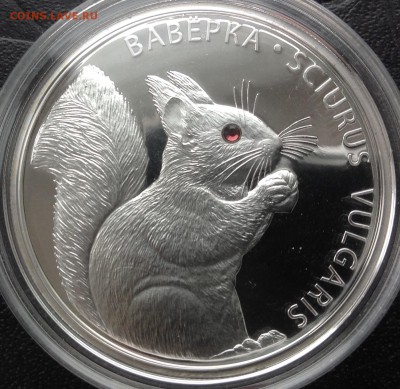 Белка 20 рублей 2009 до 30.4.17 в 22.00 - IMG_8387.JPG