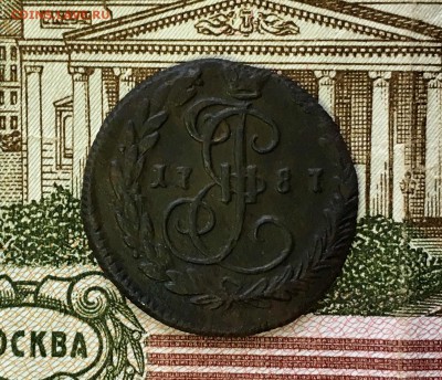Денга 1787 КМ до 24.04.17 - IMG_9288.JPG