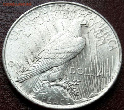 США 1 доллар 1922 UNC  до 28.04 22:00 - 20170424_161050