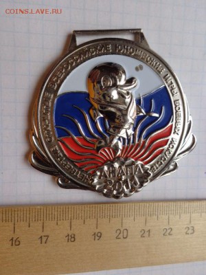 Медаль призера : Анапа.Боевые искусства - DSC09562.JPG